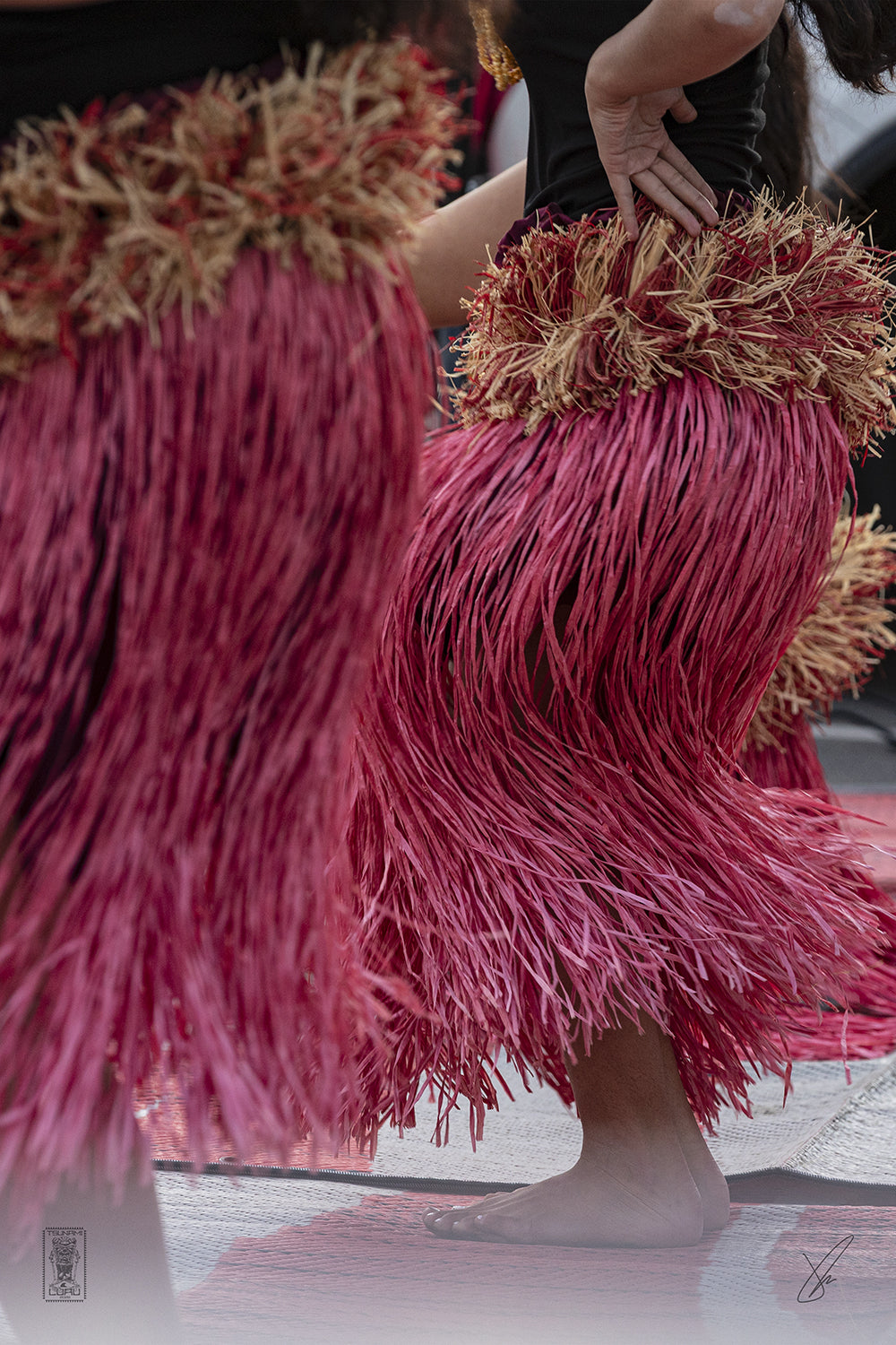 Tsunami Luau Print 005