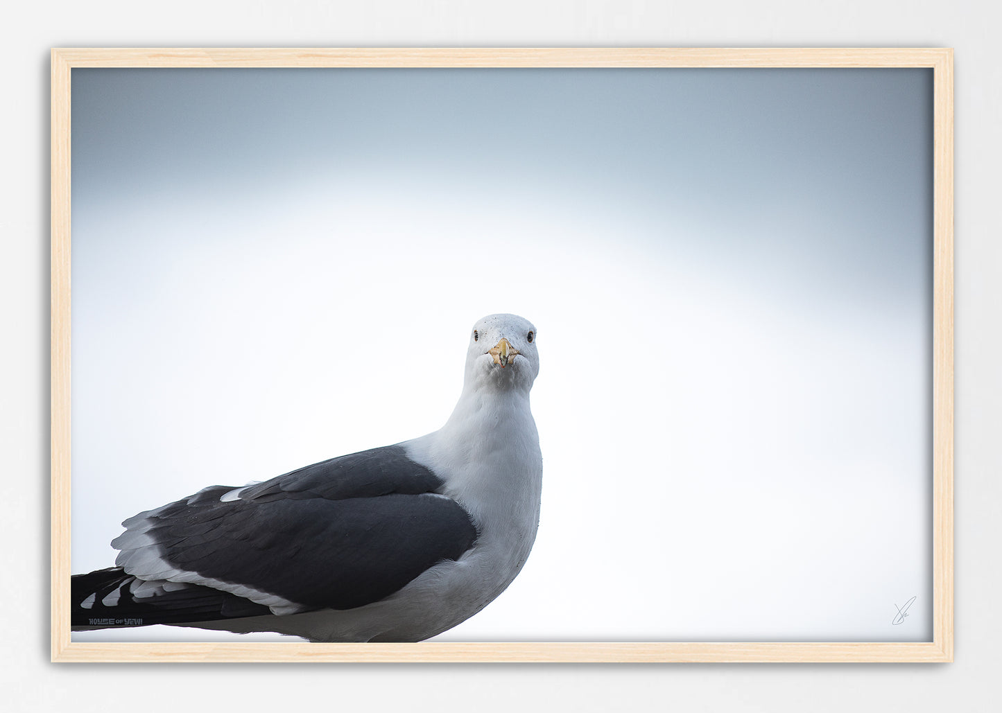 Howzit? Print