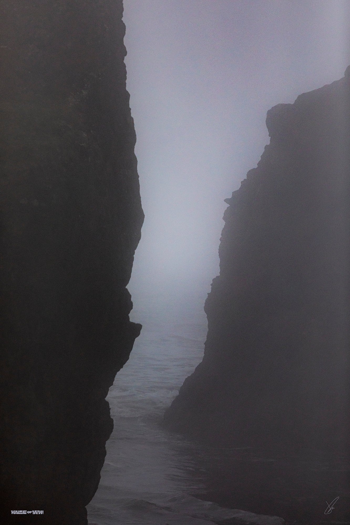 Sentinel Stare Print