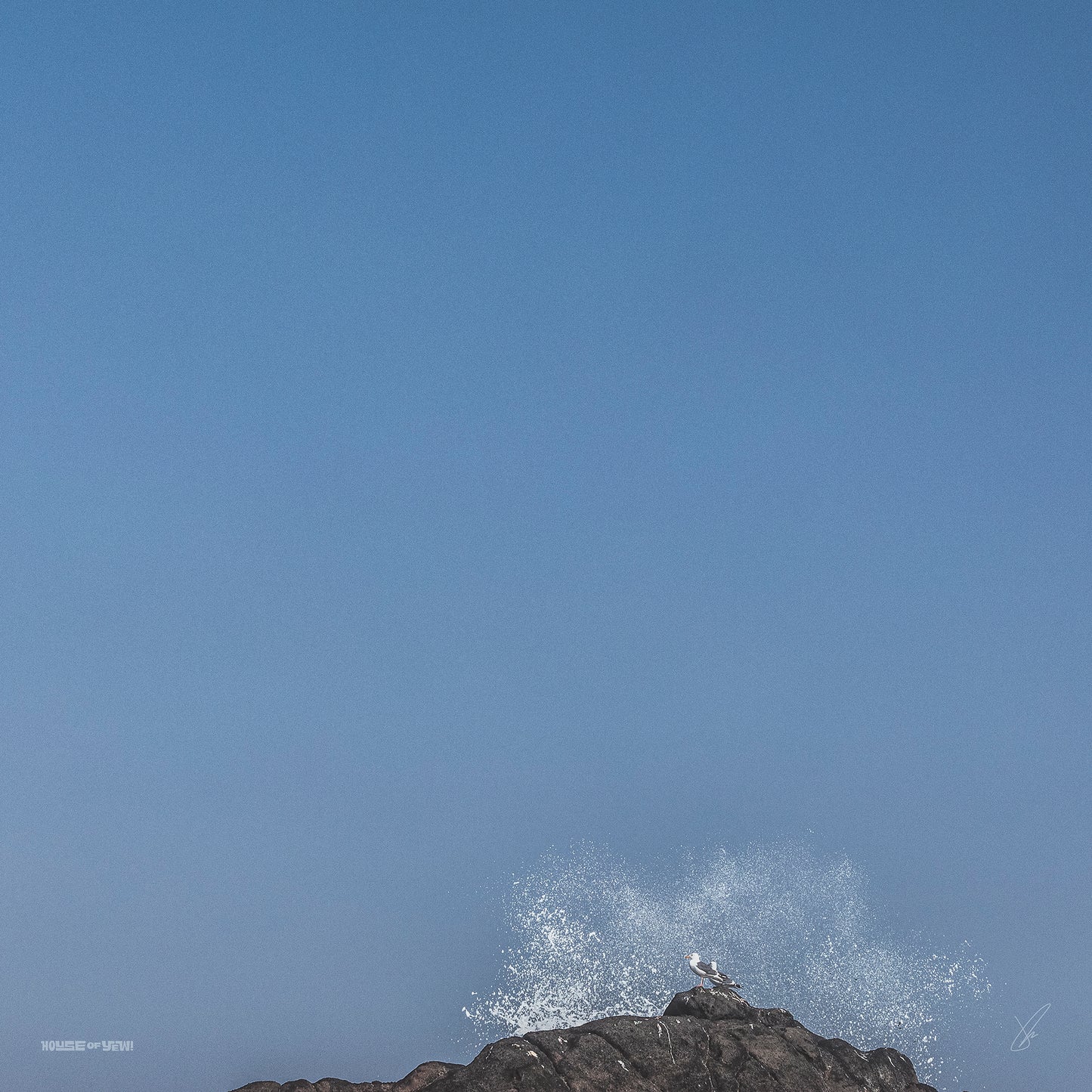 Surf Check No. 015 Print