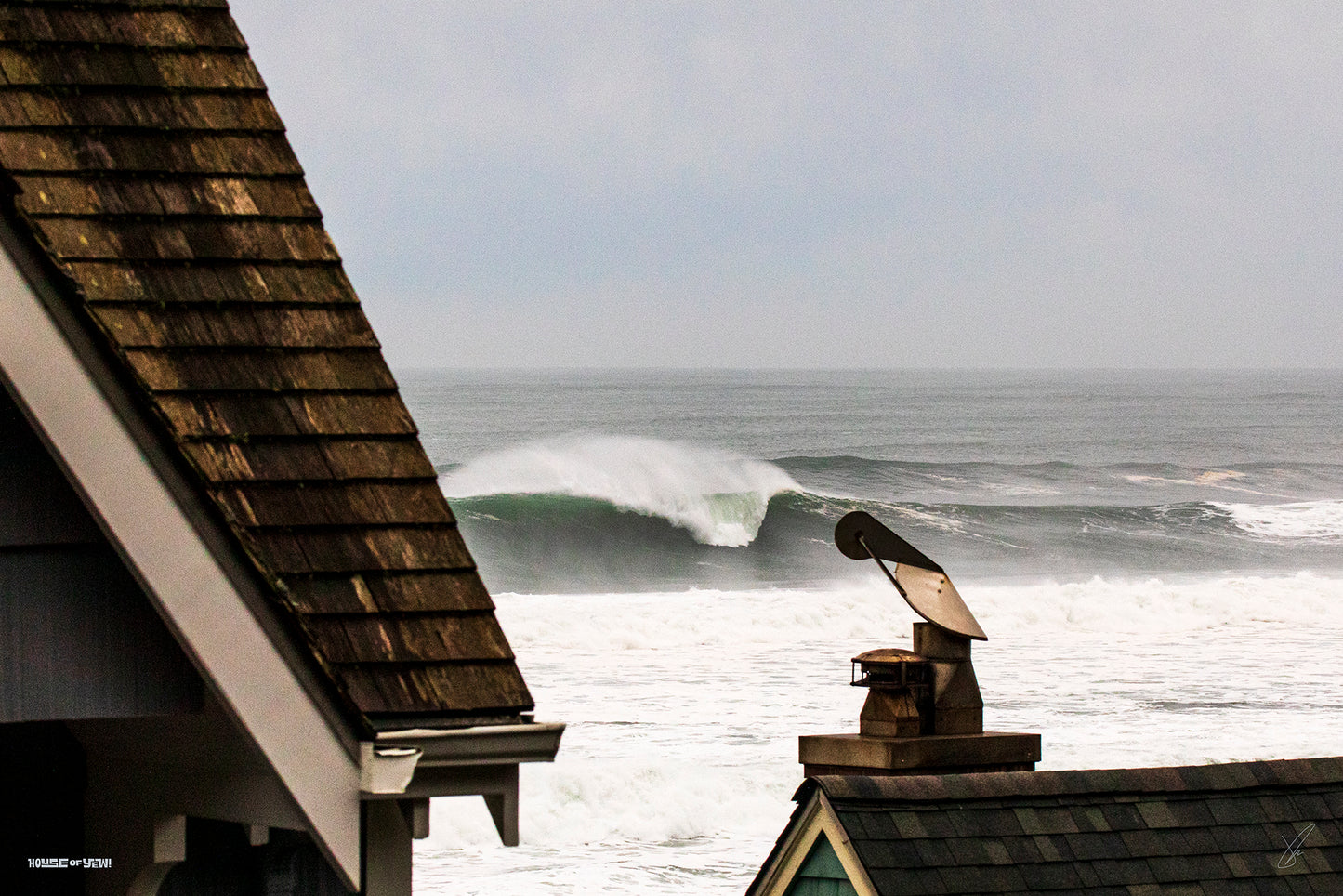 The Eddie Swell Print